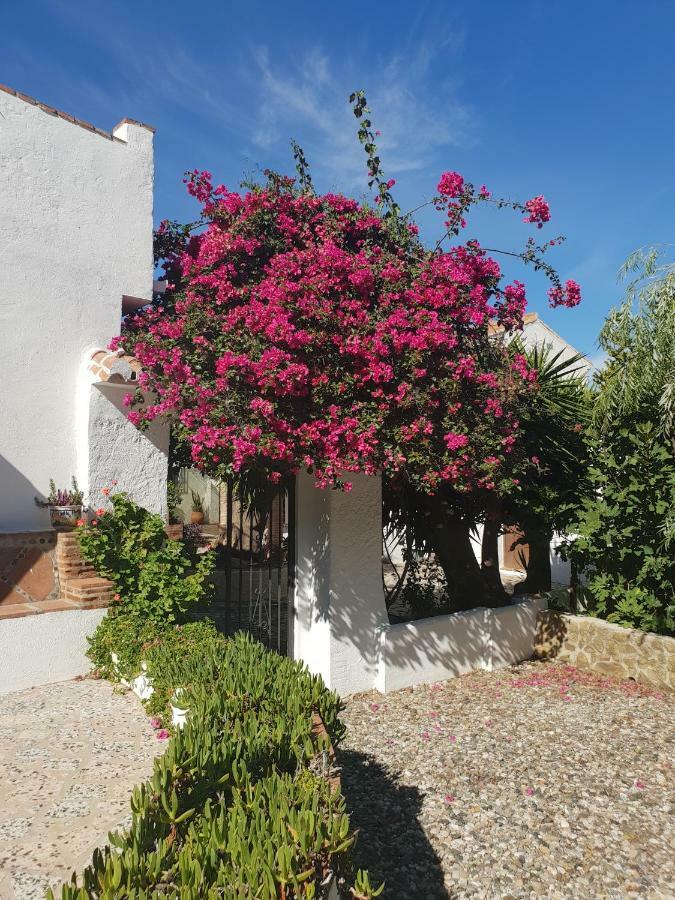 Casa Fuente De La Zorra Guest House อะโลรา ภายนอก รูปภาพ