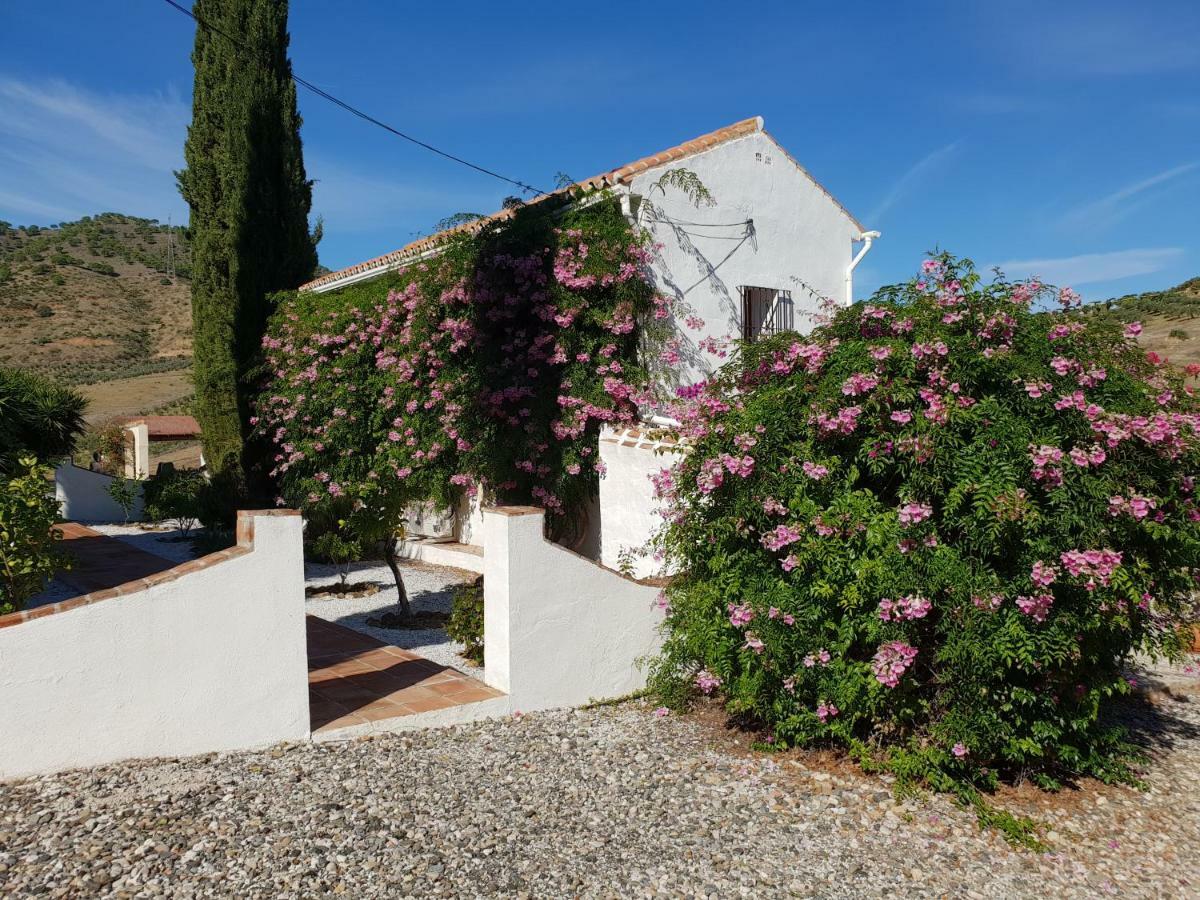 Casa Fuente De La Zorra Guest House อะโลรา ภายนอก รูปภาพ