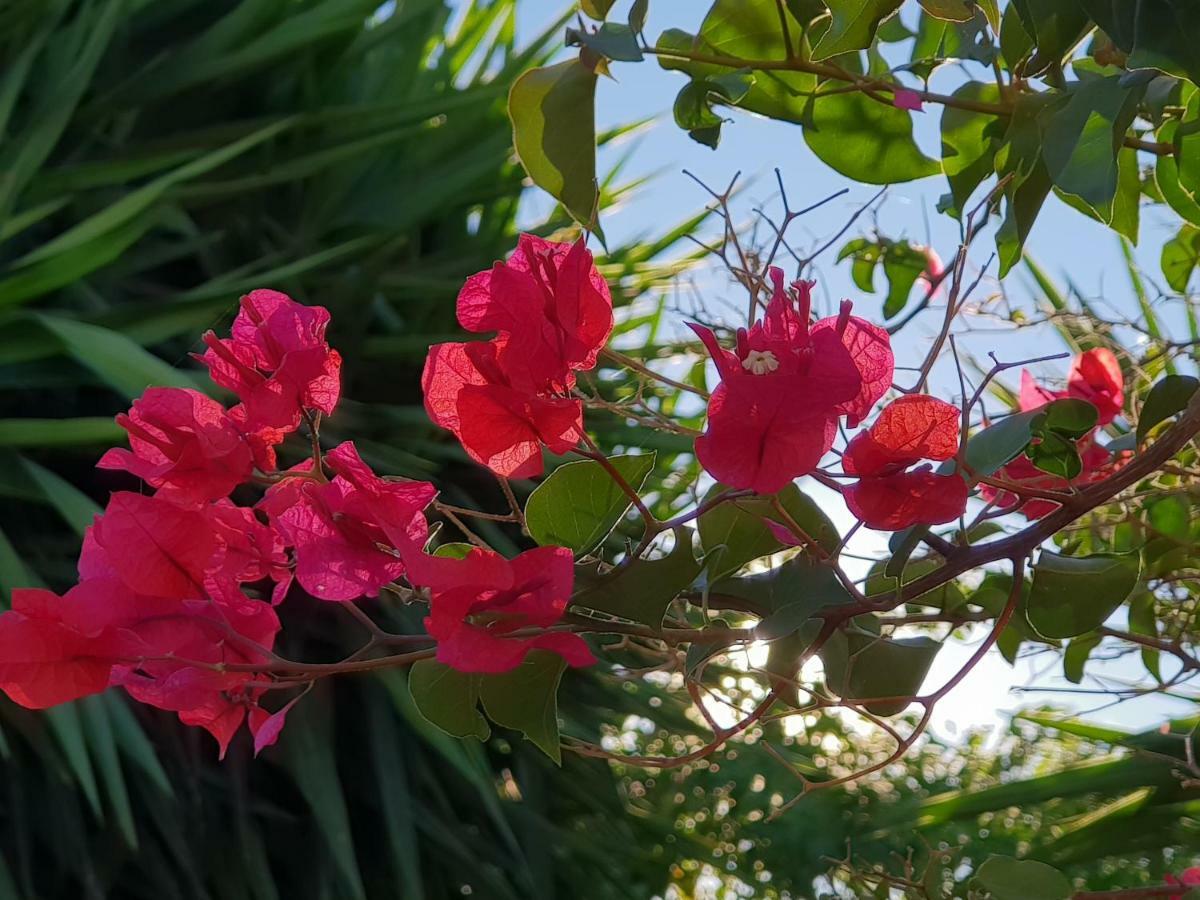Casa Fuente De La Zorra Guest House อะโลรา ภายนอก รูปภาพ